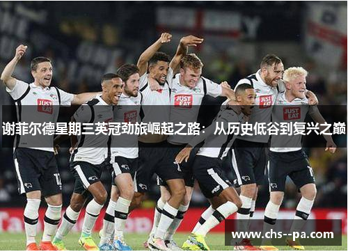 谢菲尔德星期三英冠劲旅崛起之路:从历史低谷到复兴之巅 谢菲尔德星期三英冠劲旅崛起之路:从历史低谷到复兴之巅